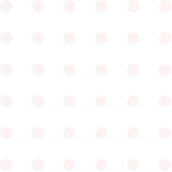 Zarin Holding, Zarin Company