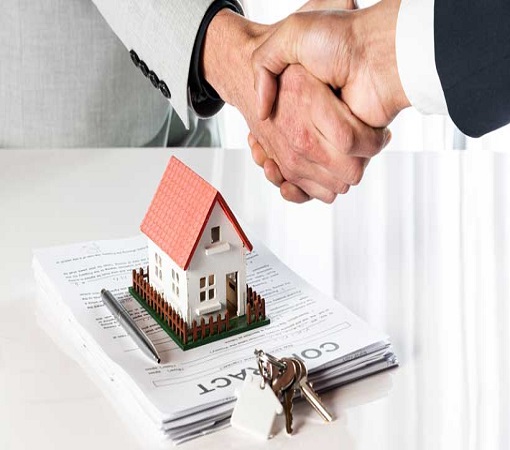 Zarin Holding, Zarin Company, Sajjad Alavi, holding zarin, baku zarin, holding zarin baku 